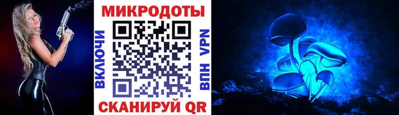 Псилоцибиновые грибы GOLDEN TEACHER  закладки  Чудово 